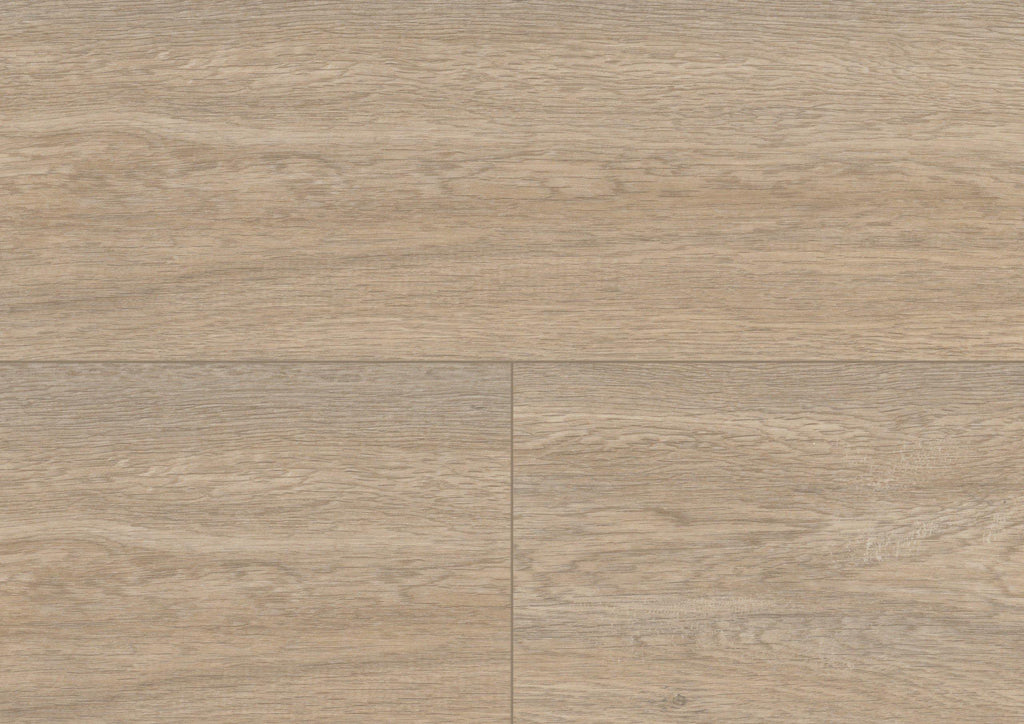 Wood XL - Queen's Oak Pearl - Project Floors - Resilient Plank - Purline - Project Floors New Zealand Flooring Design specialists