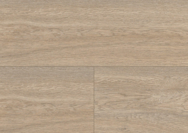 Wood XL - Queen's Oak Pearl - Project Floors - Resilient Plank - Purline - Project Floors New Zealand Flooring Design specialists