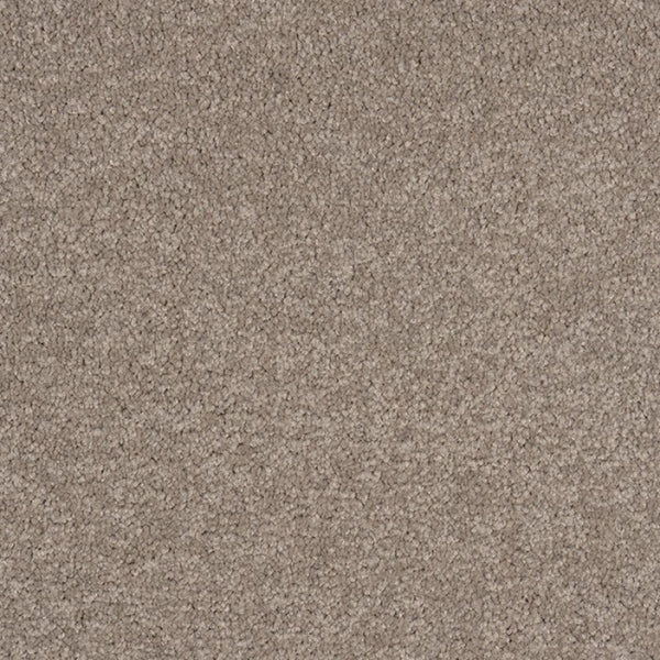 Murrays Bay - 1471 - Project Floors - Broadloom - Murrays Bay - Project Floors New Zealand Flooring Design specialists