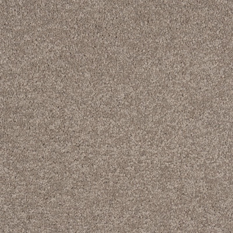 Murrays Bay - 1471 - Project Floors - Broadloom - Murrays Bay - Project Floors New Zealand Flooring Design specialists