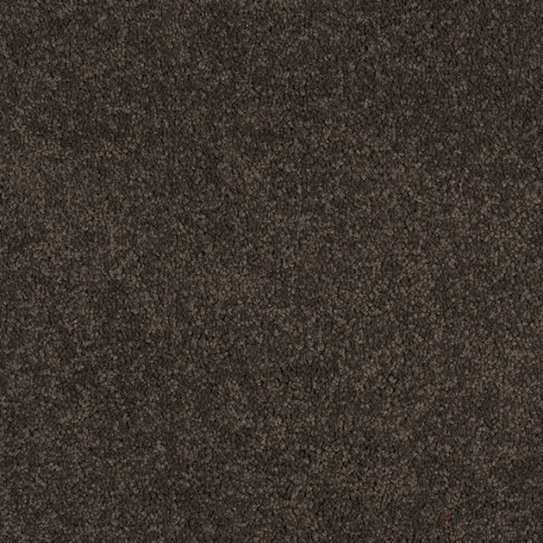 Murrays Bay - 1473 - Project Floors - Broadloom - Murrays Bay - Project Floors New Zealand Flooring Design specialists