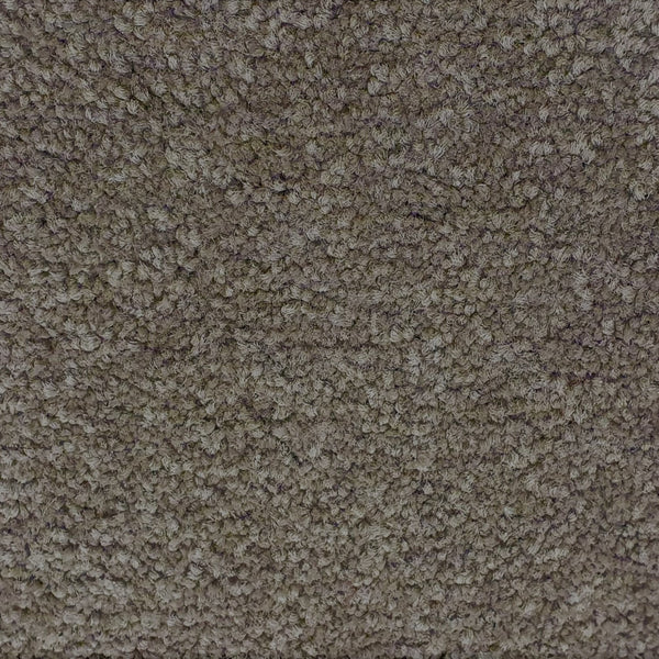 Murrays Bay - 1476 - Project Floors - Broadloom - Murrays Bay - Project Floors New Zealand Flooring Design specialists