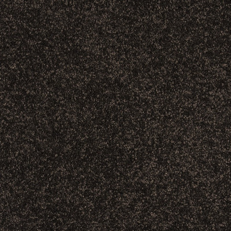 Murrays Bay - 1477 - Project Floors - Broadloom - Murrays Bay - Project Floors New Zealand Flooring Design specialists
