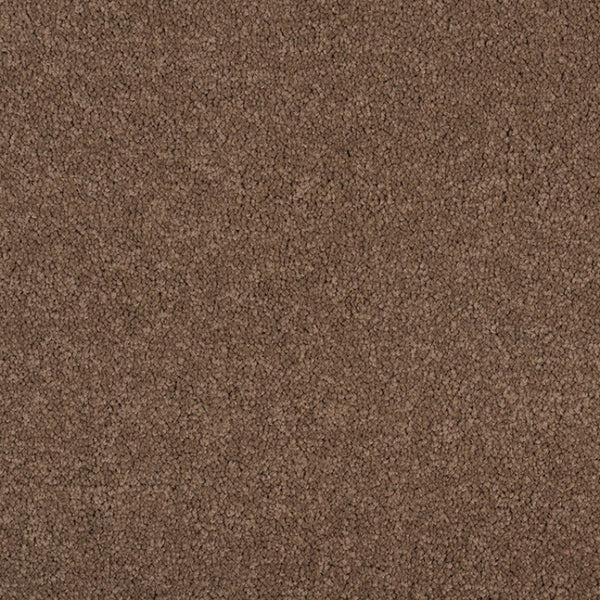 Murrays Bay - 1497 - Project Floors - Broadloom - Murrays Bay - Project Floors New Zealand Flooring Design specialists