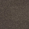 Castor Bay - 1843 - Project Floors - Broadloom - Castor Bay - Project Floors New Zealand Flooring Design specialists