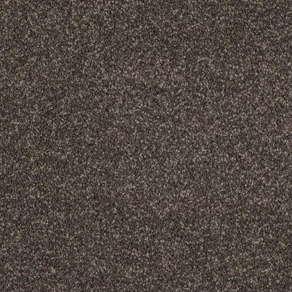 Castor Bay - 1843 - Project Floors - Broadloom - Castor Bay - Project Floors New Zealand Flooring Design specialists