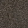 Castor Bay - 1844 - Project Floors - Broadloom - Castor Bay - Project Floors New Zealand Flooring Design specialists