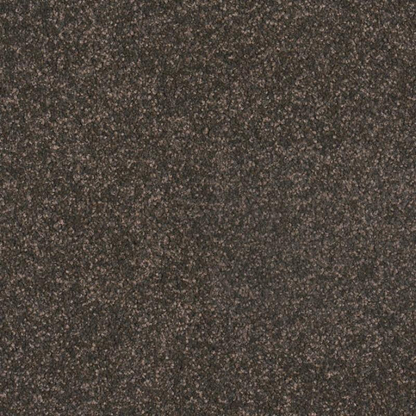 Castor Bay - 1844 - Project Floors - Broadloom - Castor Bay - Project Floors New Zealand Flooring Design specialists