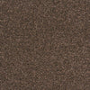 Castor Bay - 1845 - Project Floors - Broadloom - Castor Bay - Project Floors New Zealand Flooring Design specialists