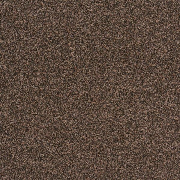 Castor Bay - 1845 - Project Floors - Broadloom - Castor Bay - Project Floors New Zealand Flooring Design specialists
