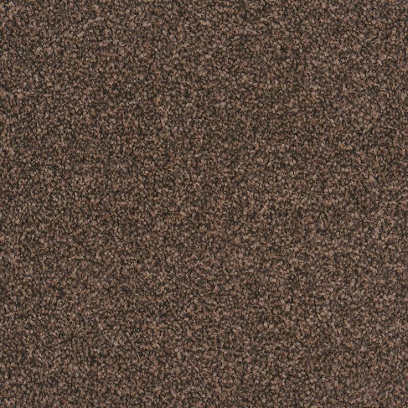 Castor Bay - 1845 - Project Floors - Broadloom - Castor Bay - Project Floors New Zealand Flooring Design specialists