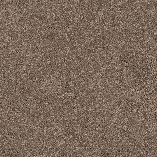 Castor Bay - 1870 - Project Floors - Broadloom - Castor Bay - Project Floors New Zealand Flooring Design specialists
