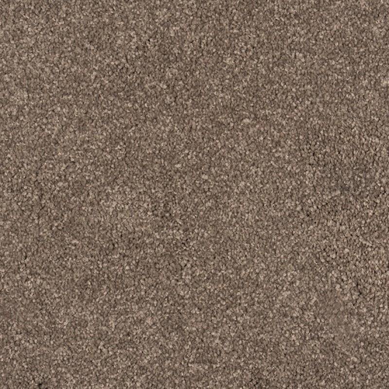 Castor Bay - 1870 - Project Floors - Broadloom - Castor Bay - Project Floors New Zealand Flooring Design specialists