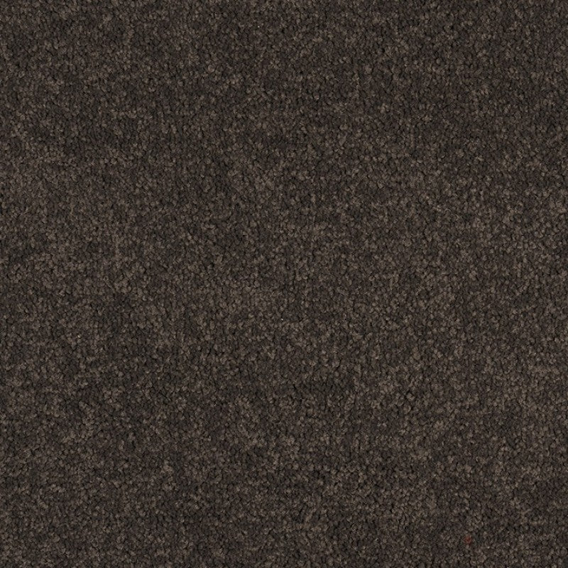 Viaduct - 1873 - Project Floors - Broadloom - Viaduct - Project Floors New Zealand Flooring Design specialists