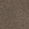 Castor Bay - 1875 - Project Floors - Broadloom - Castor Bay - Project Floors New Zealand Flooring Design specialists
