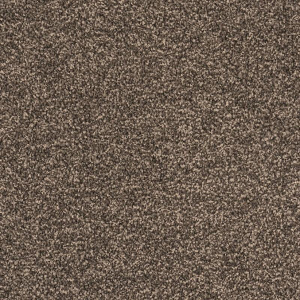 Castor Bay - 1875 - Project Floors - Broadloom - Castor Bay - Project Floors New Zealand Flooring Design specialists