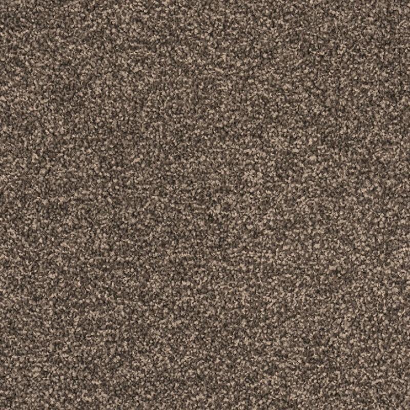 Castor Bay - 1875 - Project Floors - Broadloom - Castor Bay - Project Floors New Zealand Flooring Design specialists