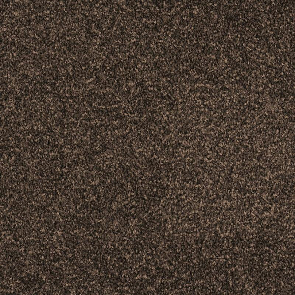 Castor Bay - 1878 - Project Floors - Broadloom - Castor Bay - Project Floors New Zealand Flooring Design specialists