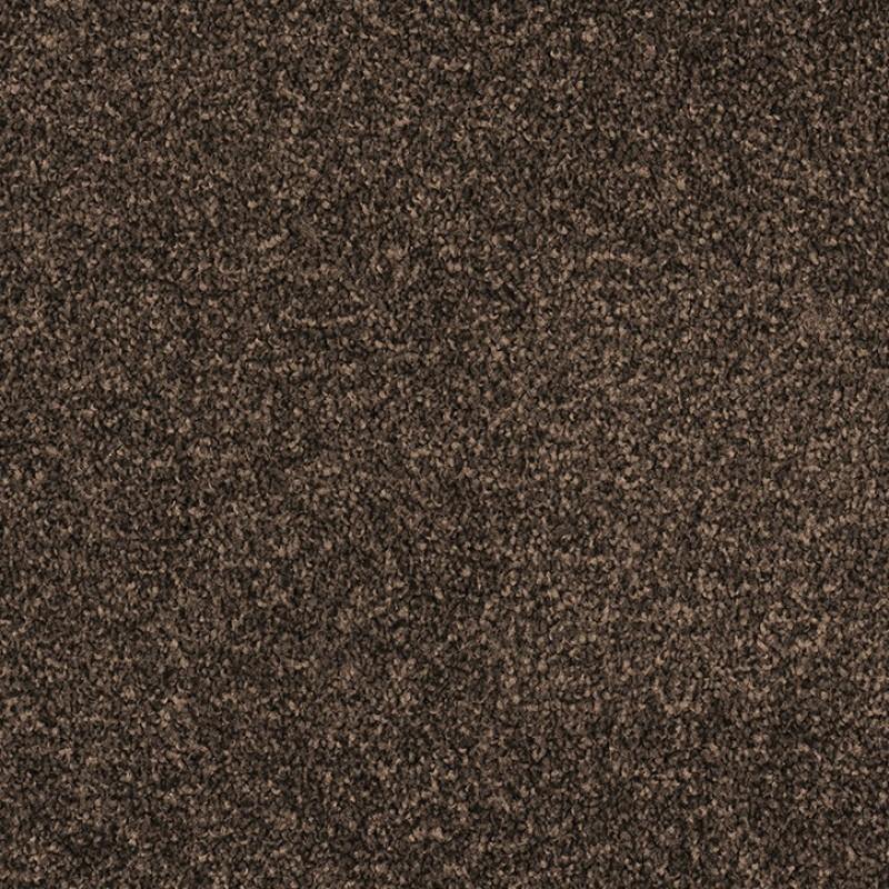 Castor Bay - 1878 - Project Floors - Broadloom - Castor Bay - Project Floors New Zealand Flooring Design specialists