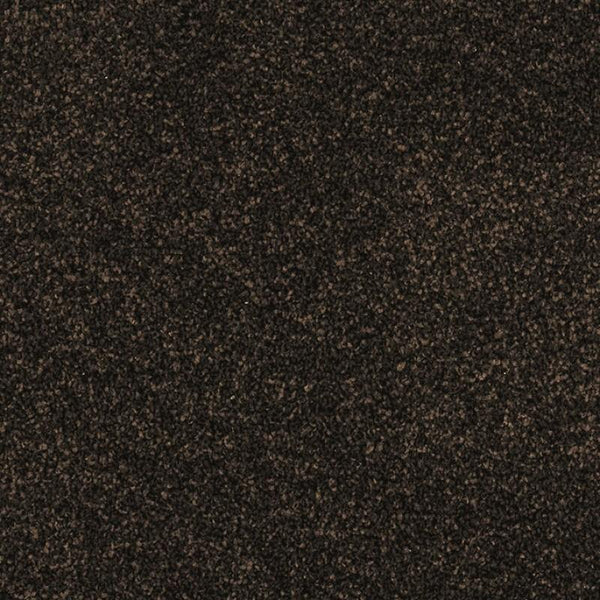 Castor Bay - 1879 - Project Floors - Broadloom - Castor Bay - Project Floors New Zealand Flooring Design specialists