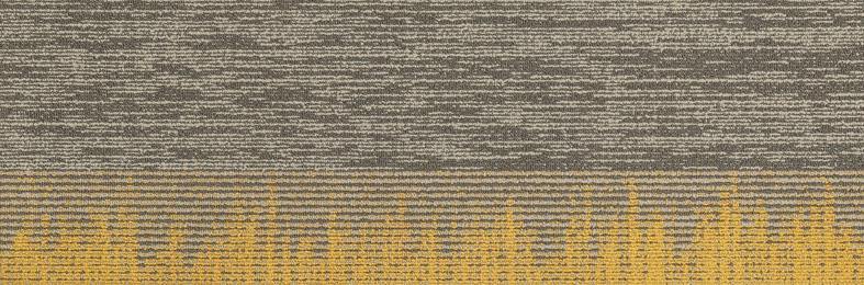 Parallel - 01 - Project Floors - Carpet tile - Parallel - Project Floors New Zealand Flooring Design specialists