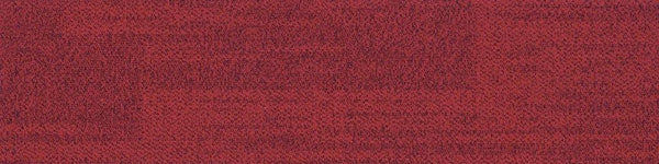 Polaris 22 - Project Floors - Carpet tile - Polaris - Project Floors New Zealand Flooring Design specialists