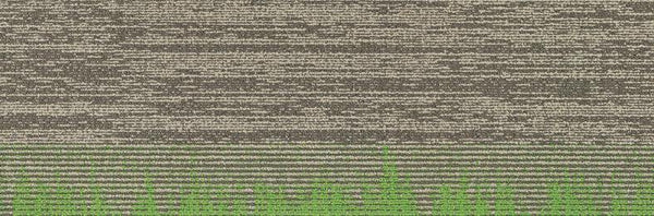 Parallel - 02 - Project Floors - Carpet tile - Parallel - Project Floors New Zealand Flooring Design specialists
