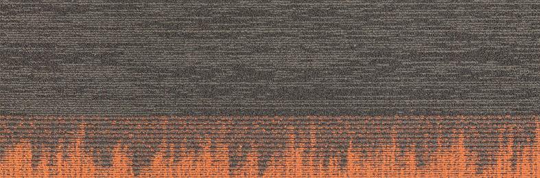 Parallel - 03 - Project Floors - Carpet tile - Parallel - Project Floors New Zealand Flooring Design specialists