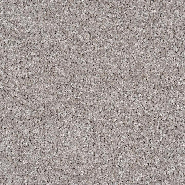 Orewa - 892 - Project Floors - Broadloom - Orewa - Project Floors New Zealand Flooring Design specialists