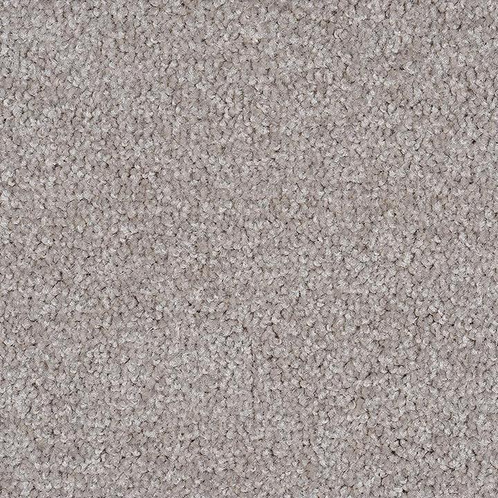 Orewa - 892 - Project Floors - Broadloom - Orewa - Project Floors New Zealand Flooring Design specialists