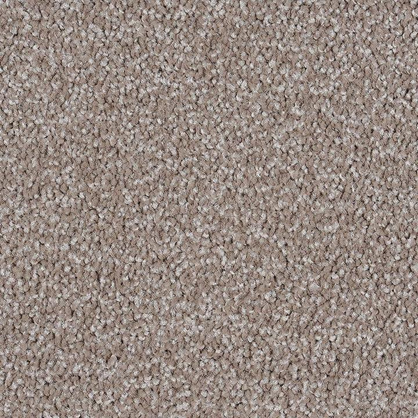 Orewa - 898 - Project Floors - Broadloom - Orewa - Project Floors New Zealand Flooring Design specialists