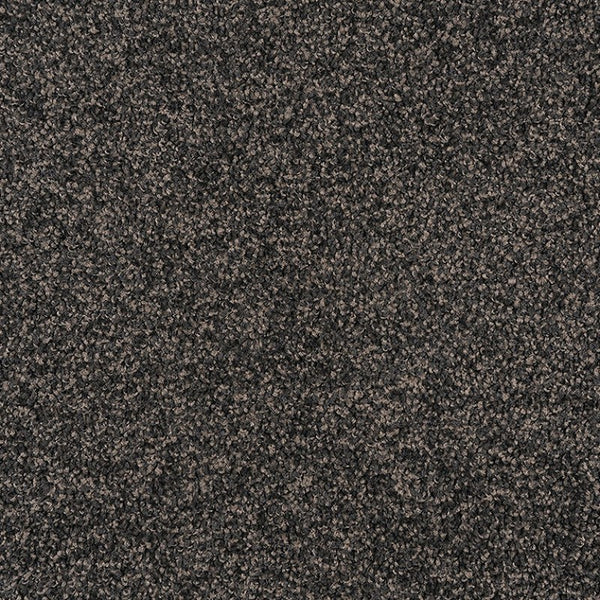 Milford - 949 - Project Floors - Broadloom - Milford - Project Floors New Zealand Flooring Design specialists