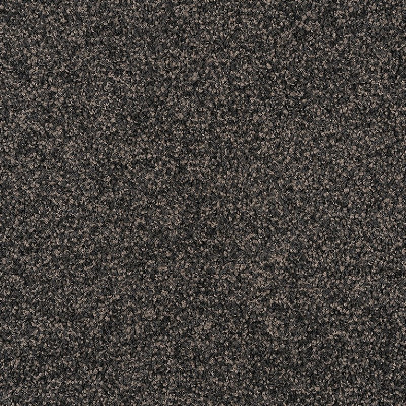 Milford - 949 - Project Floors - Broadloom - Milford - Project Floors New Zealand Flooring Design specialists