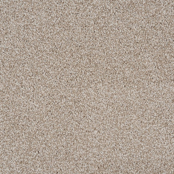 Milford - 994 - Project Floors - Broadloom - Milford - Project Floors New Zealand Flooring Design specialists