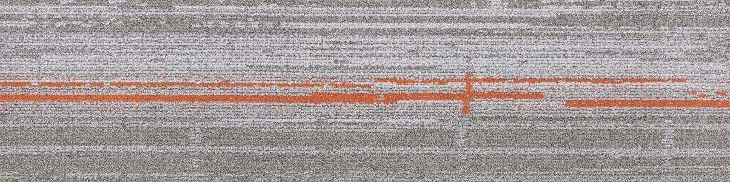 Iridescent - Protile - C4 - Project Floors - Carpet tile - Iridescent - Project Floors New Zealand Flooring Design specialists