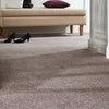 Castor Bay - 1878 - Project Floors - Broadloom - Castor Bay - Project Floors New Zealand Flooring Design specialists