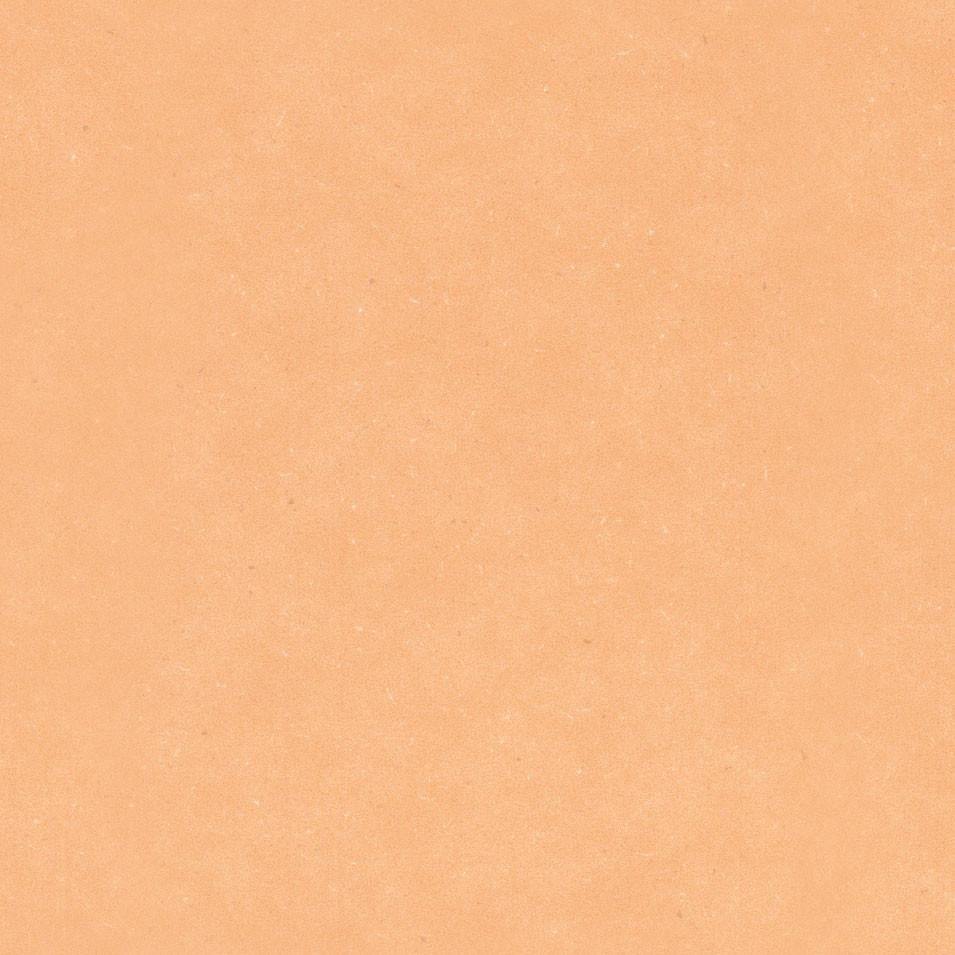 Apricot - Levante - Project Floors - Resilient Sheet - Purline - Project Floors New Zealand Flooring Design specialists