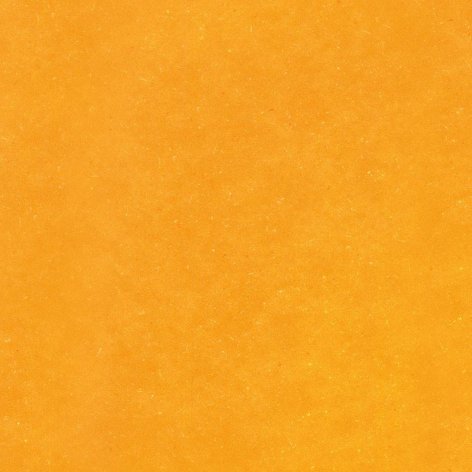 Golden Yellow - Levante - Project Floors - Resilient Sheet - Purline - Project Floors New Zealand Flooring Design specialists