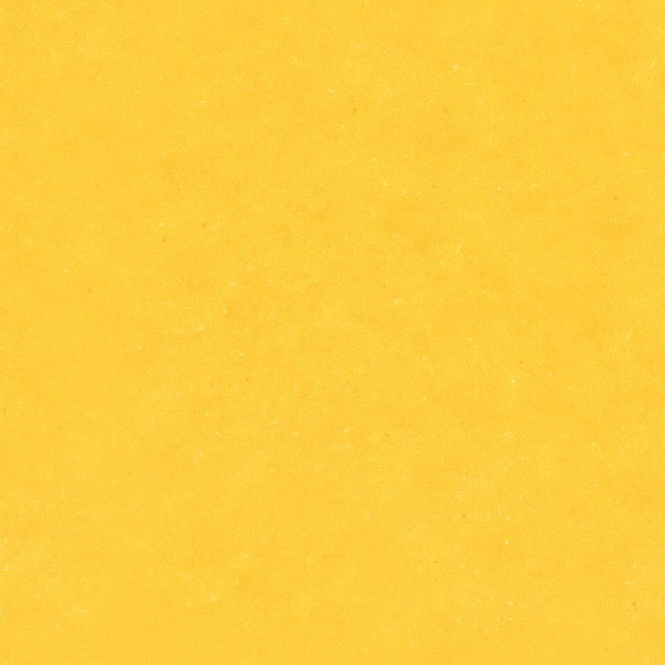 Honey Mustard - Levante - Project Floors - Resilient Sheet - Purline - Project Floors New Zealand Flooring Design specialists