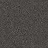 Moscow - 12766 - Project Floors - Broadloom - Moscow - Project Floors New Zealand Flooring Design specialists