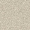 Moscow - 12944 - Project Floors - Broadloom - Moscow - Project Floors New Zealand Flooring Design specialists