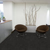 Viaduct - 1876 - Project Floors - Broadloom - Viaduct - Project Floors New Zealand Flooring Design specialists